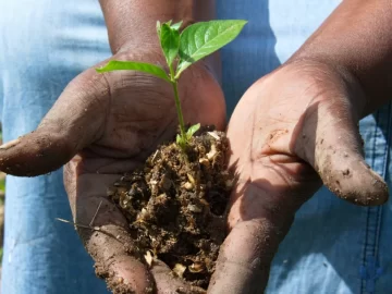 Відновлення життя села через екологічний проект