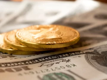 Мистецтво переможної грантової заявки