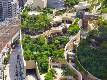 Зелені дахи міста: створення оаз чистого повітря та зелені серед урбаністичного ландшафту