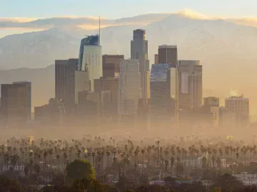 Локальні дії відповідають на глобальну кризу зміни клімату