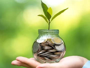 Вплив грантового фінансування на соціальні ініціативи