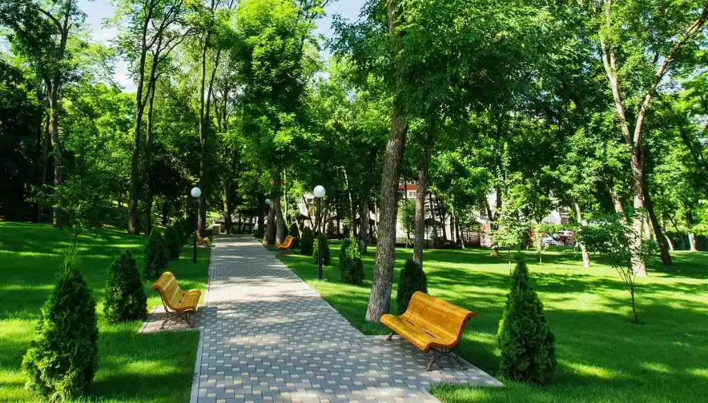 Створення сучасного парку відпочинку «Launge Park»