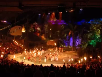 Творчість та культура як центральний елемент громадського життя