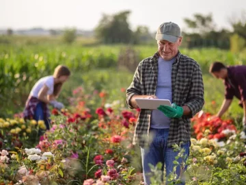 Створення сприятливого середовища для соціального підприємництва