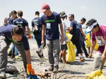 Екологічні ініціативи як каталізатор громадської єдності