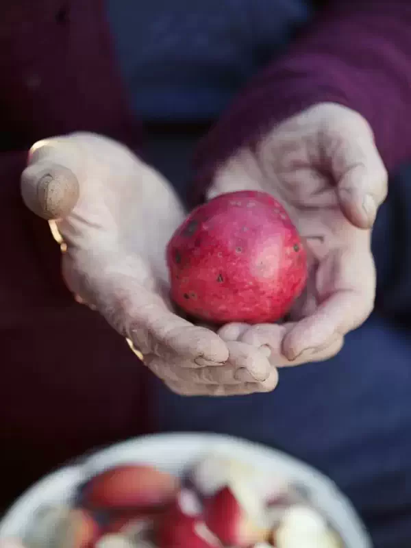 Диканські смаколики