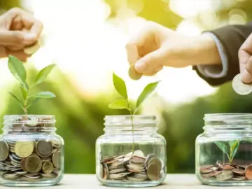 Краудфандинг: стратегії залучення коштів та перспективи краудфандингу