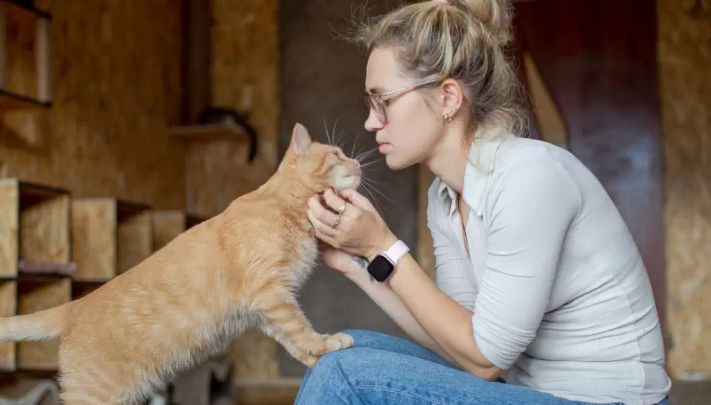 Ветеринарний центр «КОТОХАТА» – безпечний прихисток для всіх тварин у Києві