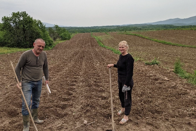 Лавандове поле Вертеп: квіткова мрія для відродження села