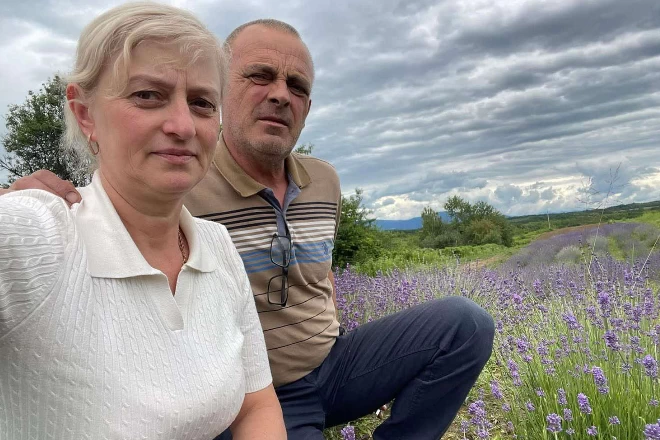 Лавандове поле Вертеп: квіткова мрія для відродження села
