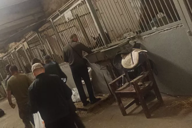 «Сила відновлення» — психосоціальна реабілітація для ветеранів, ветеранoк та їхніх родин