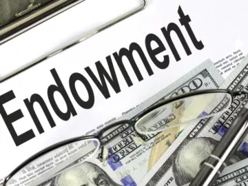 Що таке ендаумент і навіщо він потрібен?