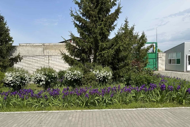 Сонячна енергія для виробництва – наша реальна енергетична незалежність та шанс зберегти робочі місця в громаді