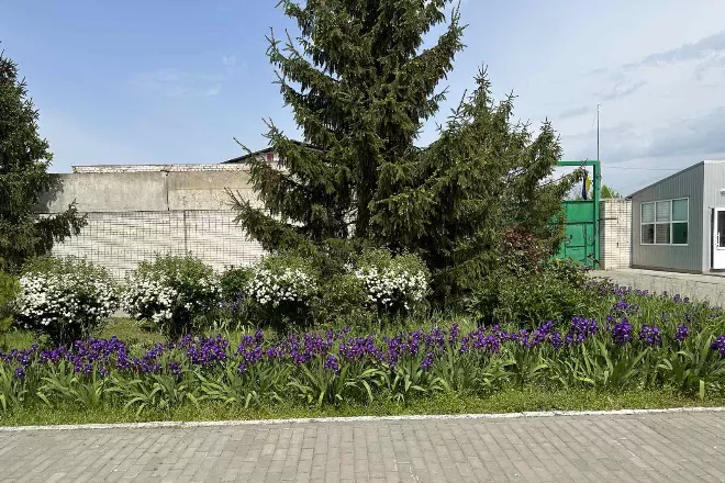 Сонячна енергія для виробництва – наша реальна енергетична незалежність та шанс зберегти робочі місця в громаді