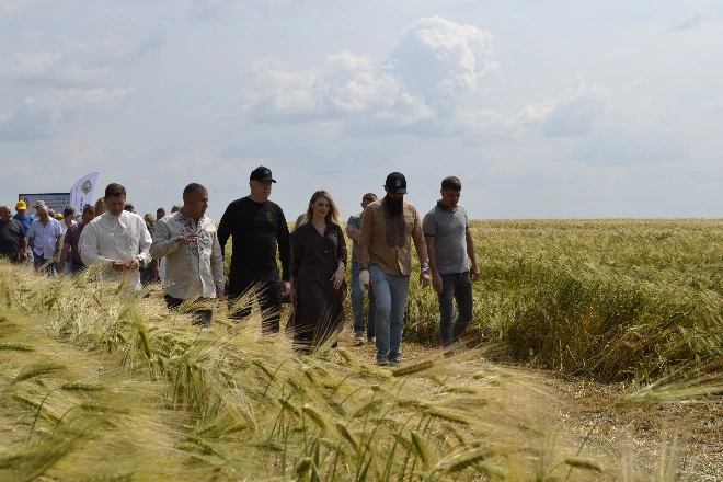 Соціальна теплиця: якісні овочі для соціальних закладів Черкащини